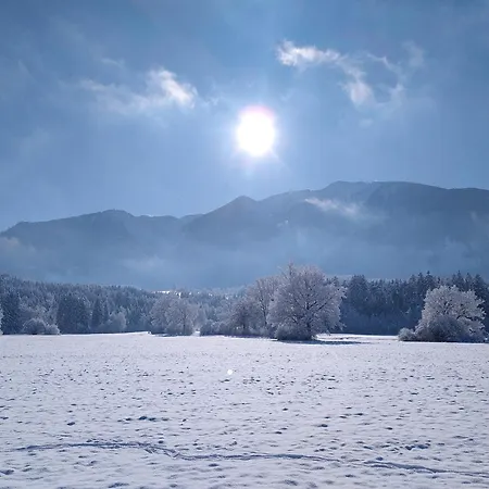 Werkhof Bistrica *