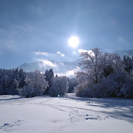 Werkhof Bistrica * Hof (Volkermarkt)