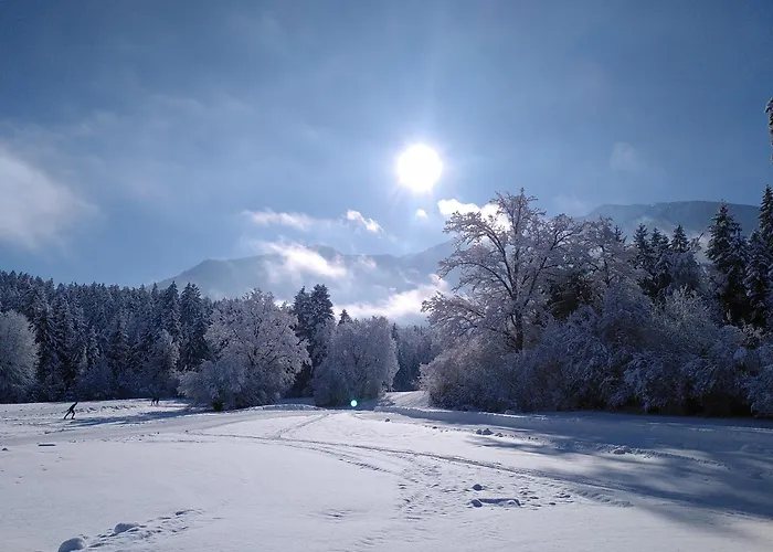Werkhof Bistrica * Hof (Volkermarkt)